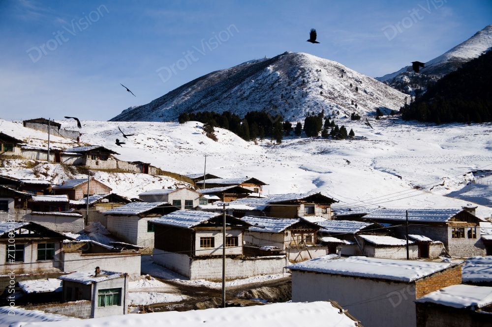 甘南郎木寺图片