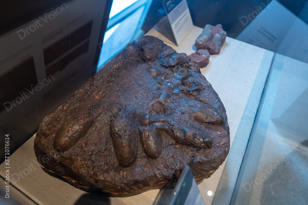 北京古动物博物馆图片