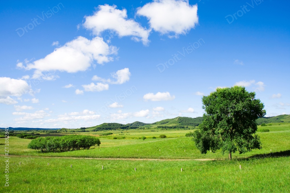 内蒙,坝上,乌兰木统,乌兰木统草原,红山,军马场,草原,草地,图片