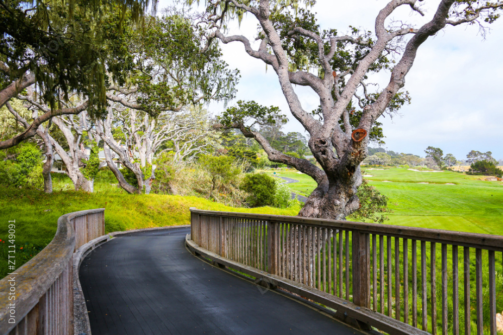 高尔夫球场图片