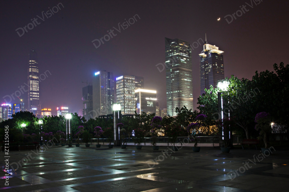 广东省深圳莲花山夜景图片