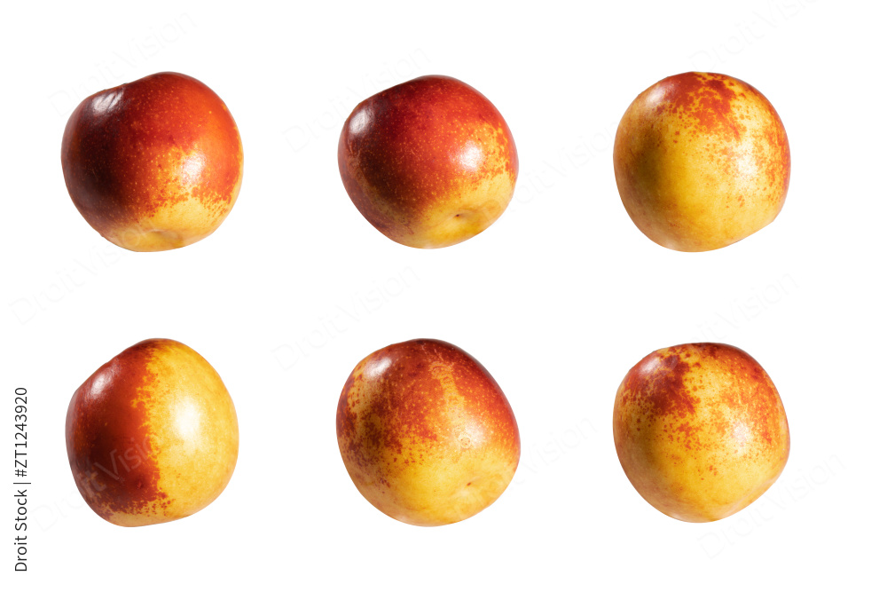 冬枣白色背景图片