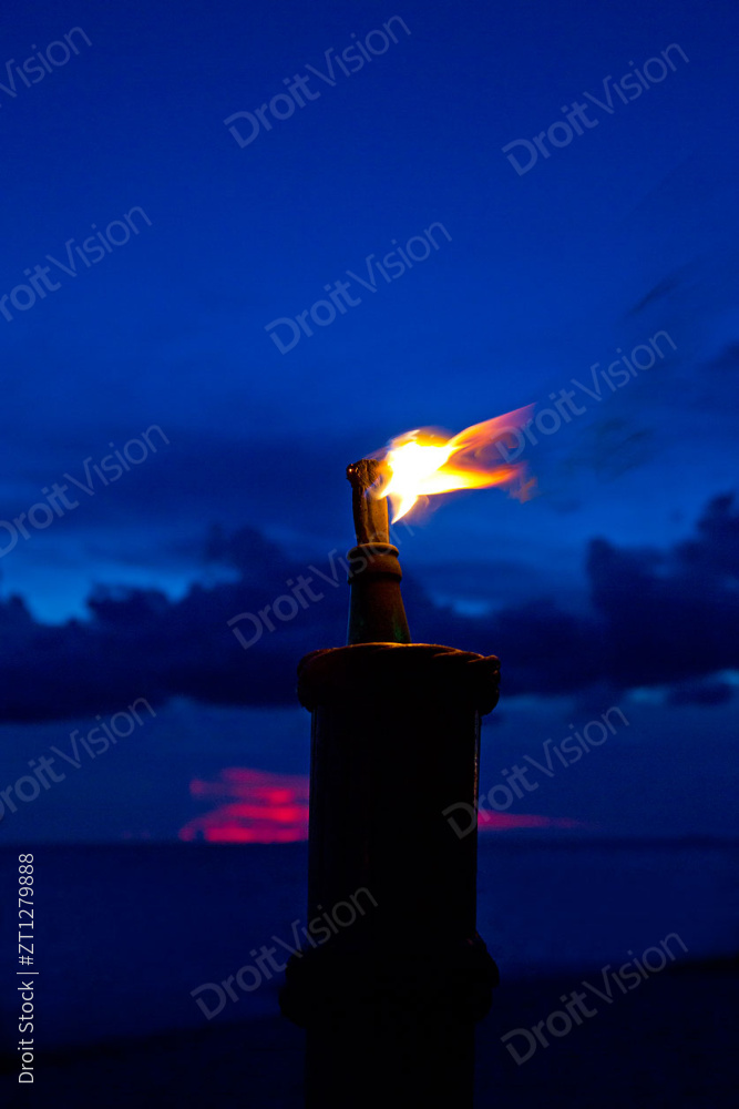 夜色中的火把图片