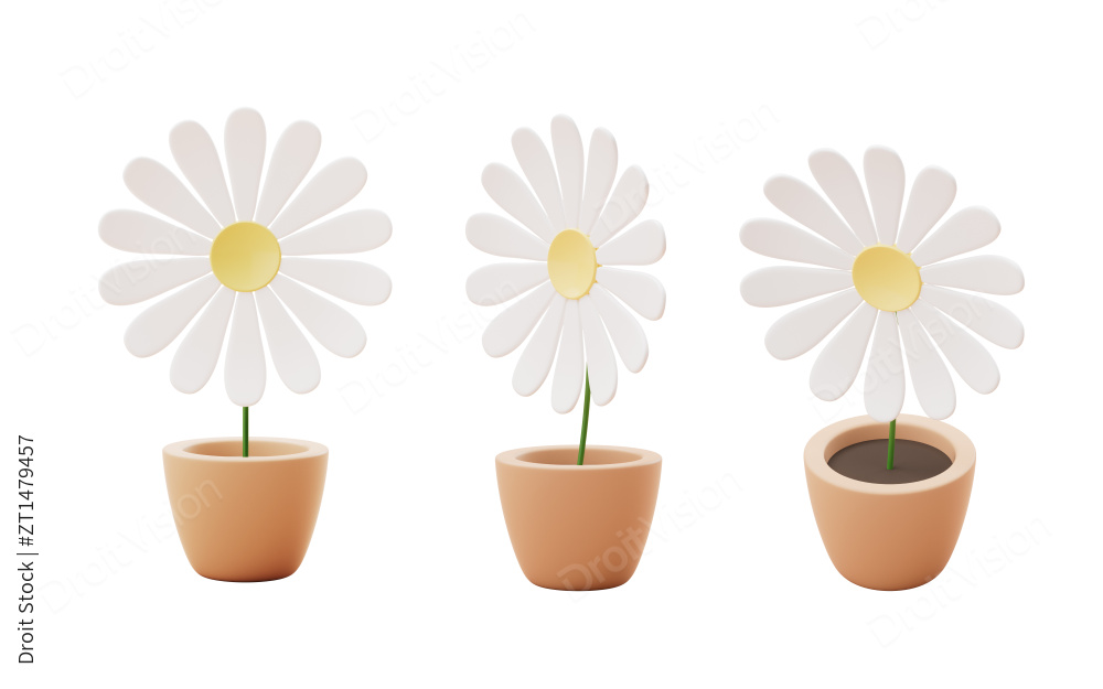 卡通风格花盆盆栽3D渲染图片