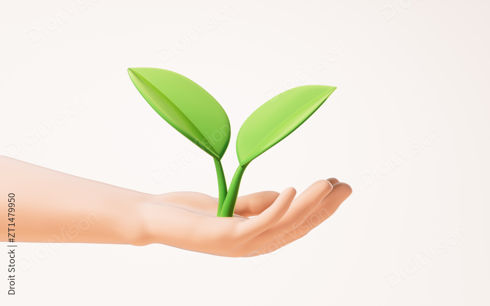 手部拿着的绿色植物3D渲染图片