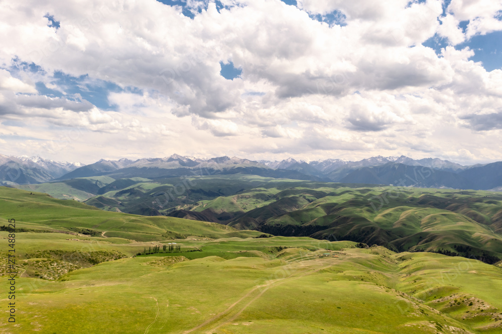 中国新疆伊犁喀拉峻大草原自然风景图片