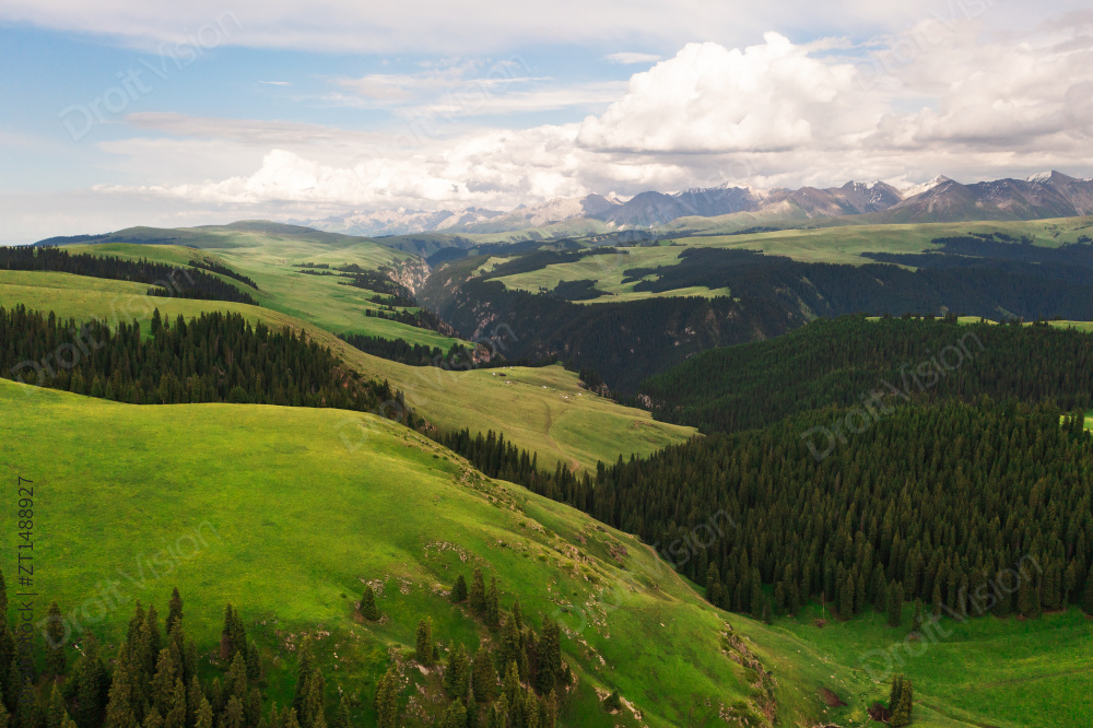 中国新疆伊犁喀拉峻大草原自然风景图片