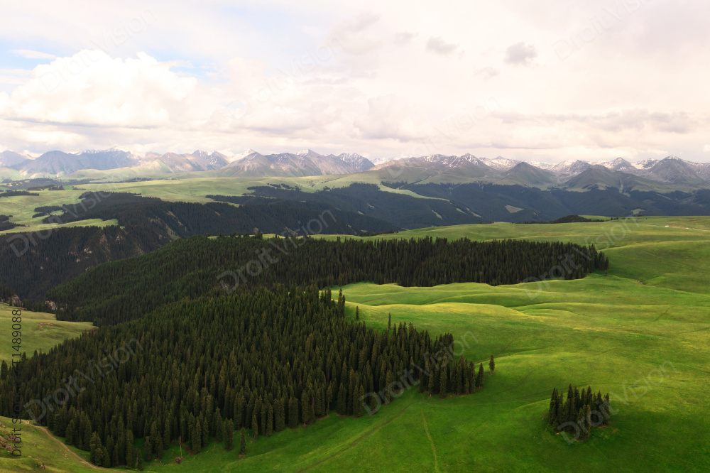 中国新疆伊犁喀拉峻大草原自然风景图片