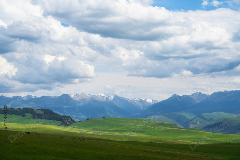 中国新疆伊犁喀拉峻大草原自然风景图片
