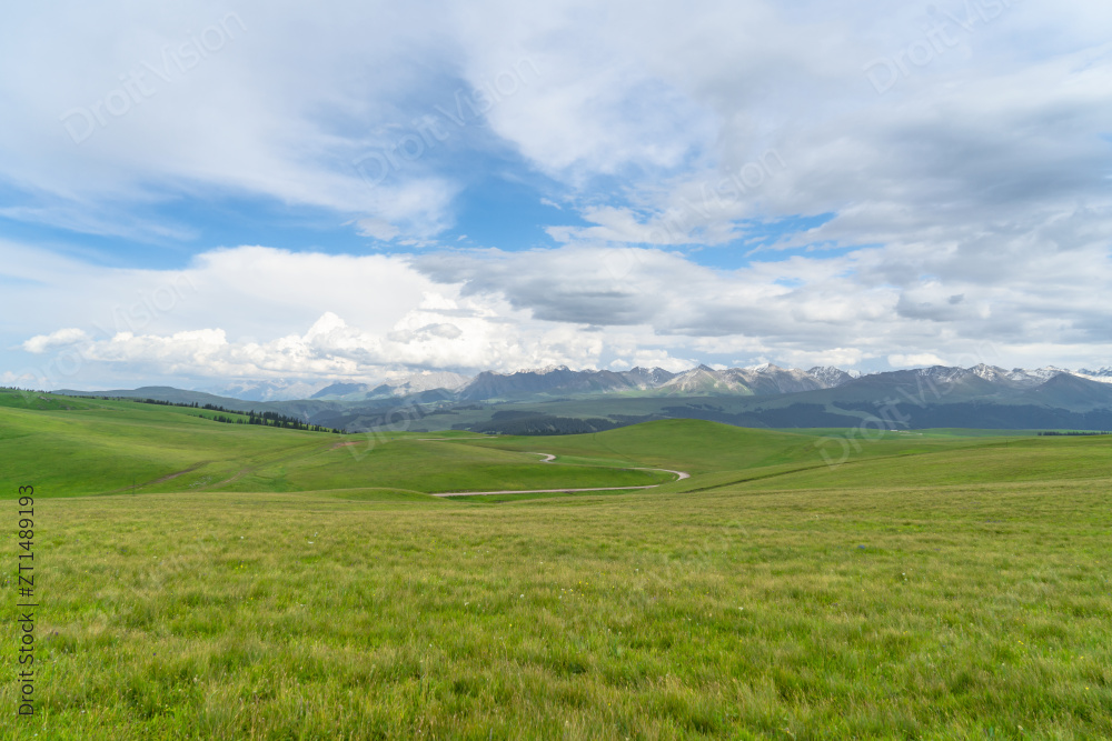 中国新疆伊犁喀拉峻大草原自然风景图片