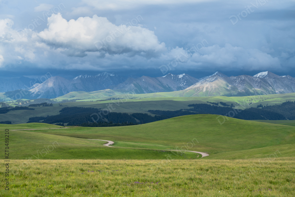 中国新疆伊犁喀拉峻大草原自然风景图片