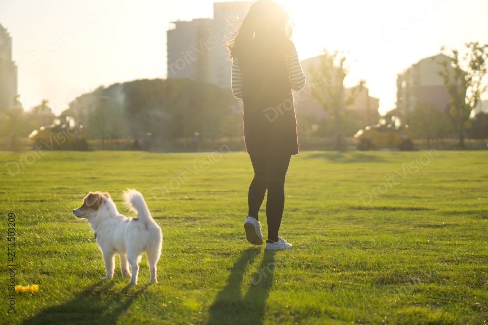 宠物狗与女主人，公园背景图片