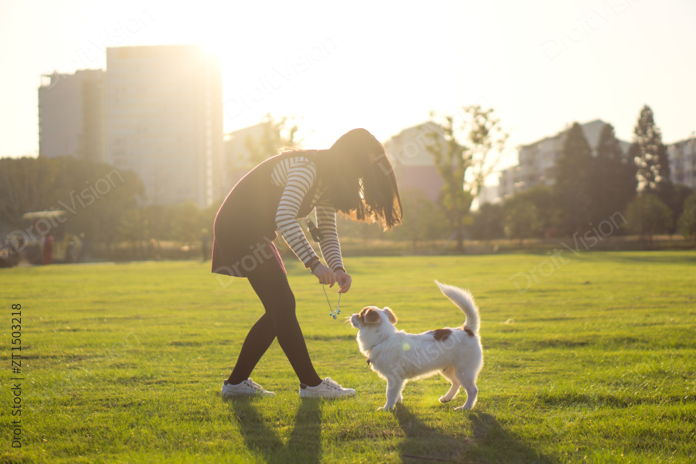 宠物狗与女主人，公园背景图片