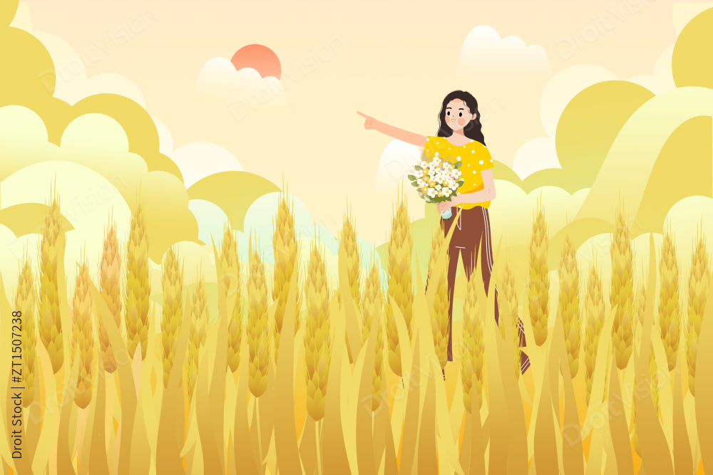 芒种节气金黄的麦穗生长谷物丰收卡通插画图片