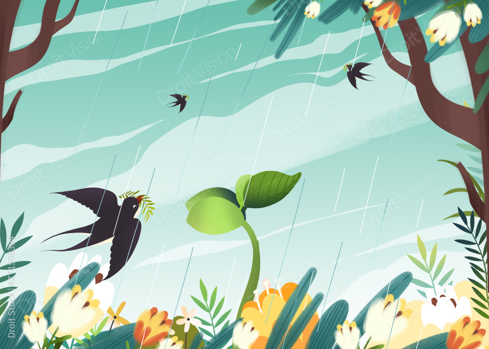 雨水节气下雨天植物发芽新生图片