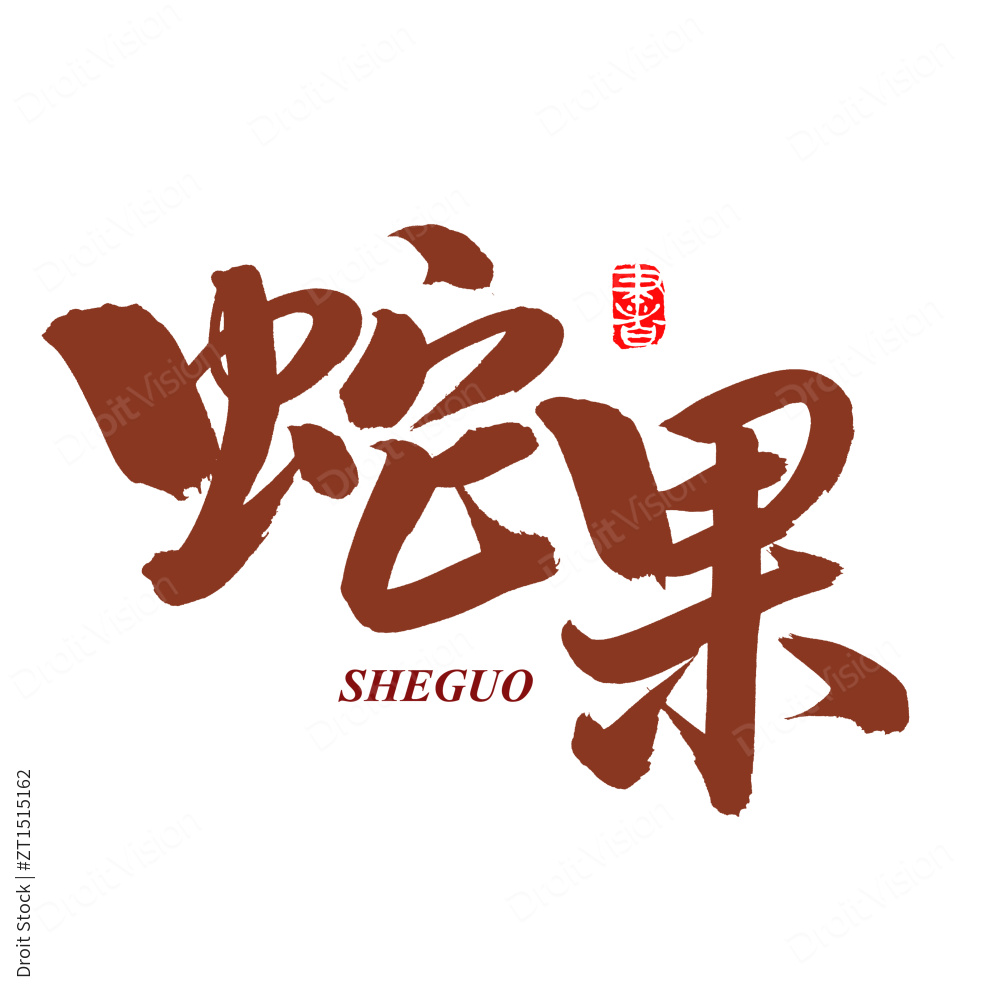 手书手写汉字书法字体蛇果图片