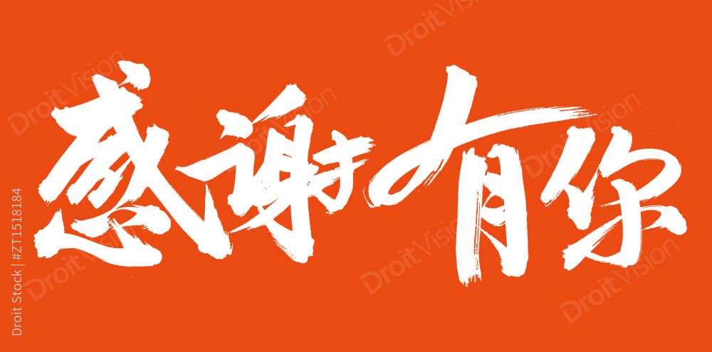 手书手写汉字书法字体感谢有你图片