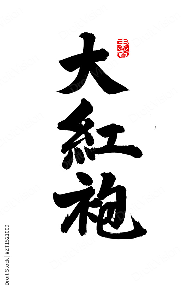 手写汉字书法字体大红袍图片