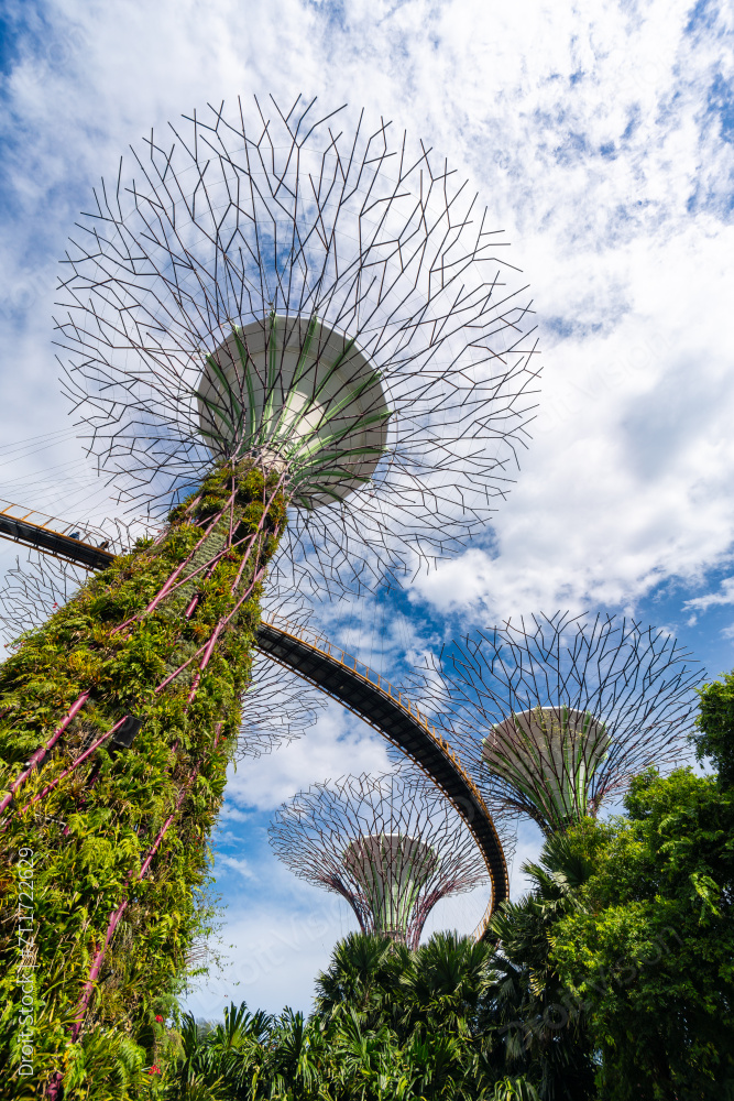 新加坡滨海湾花园图片