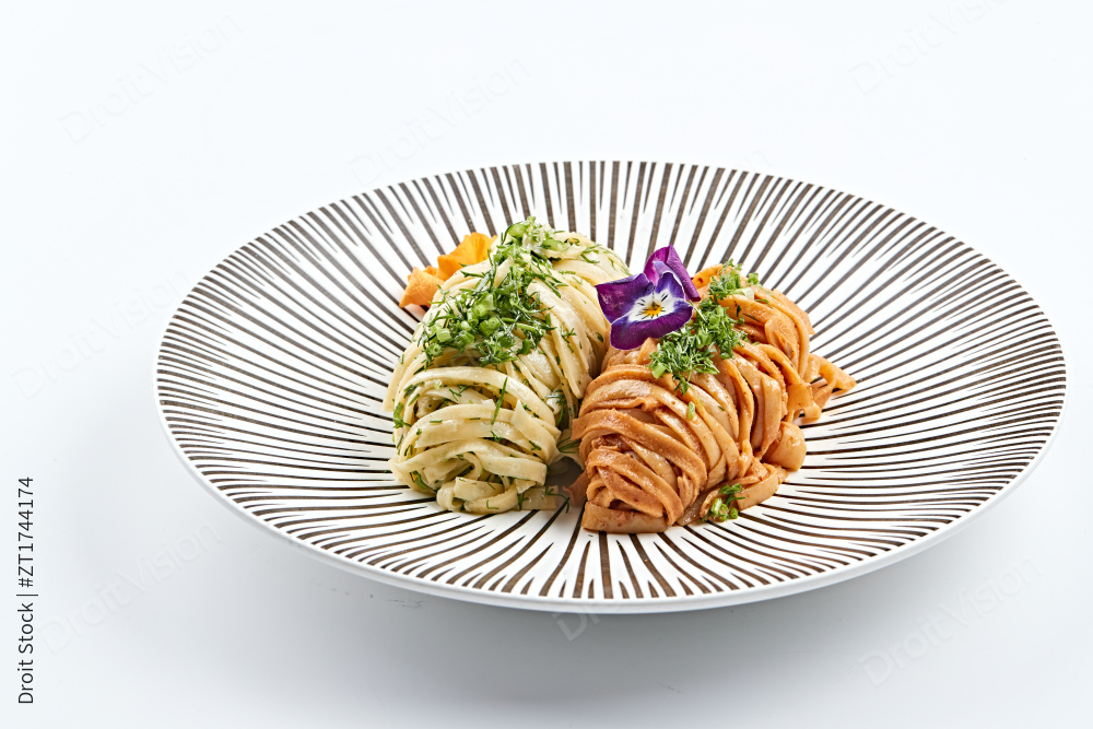 精美瓷餐具装的双味双色荞麦面图片