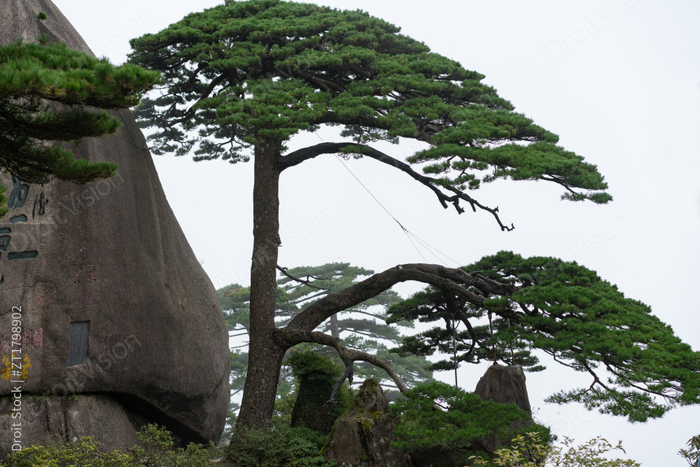 安徽黄山风光图片