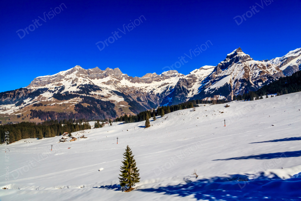 瑞士铁力士雪山图片