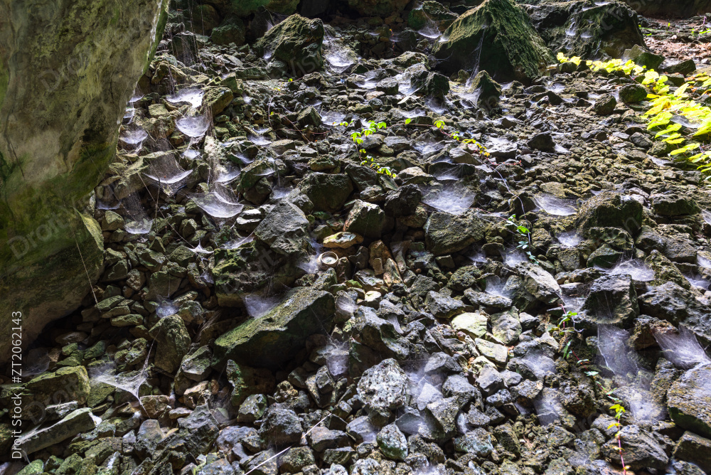 中国广西河池凤山云峰洞图片