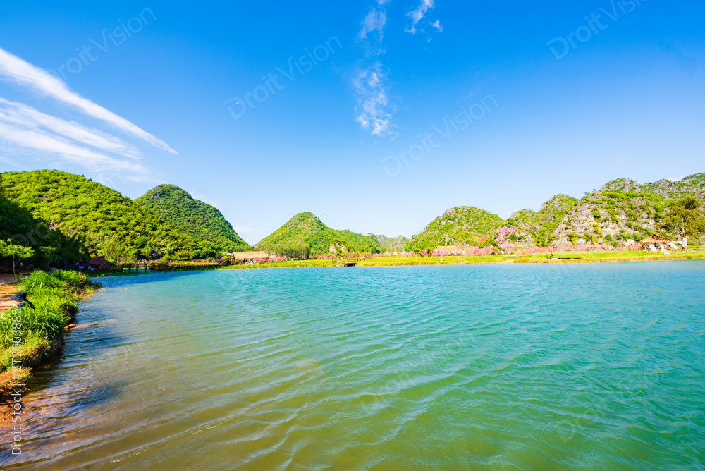 普者黑早上晴天下的荷塘图片