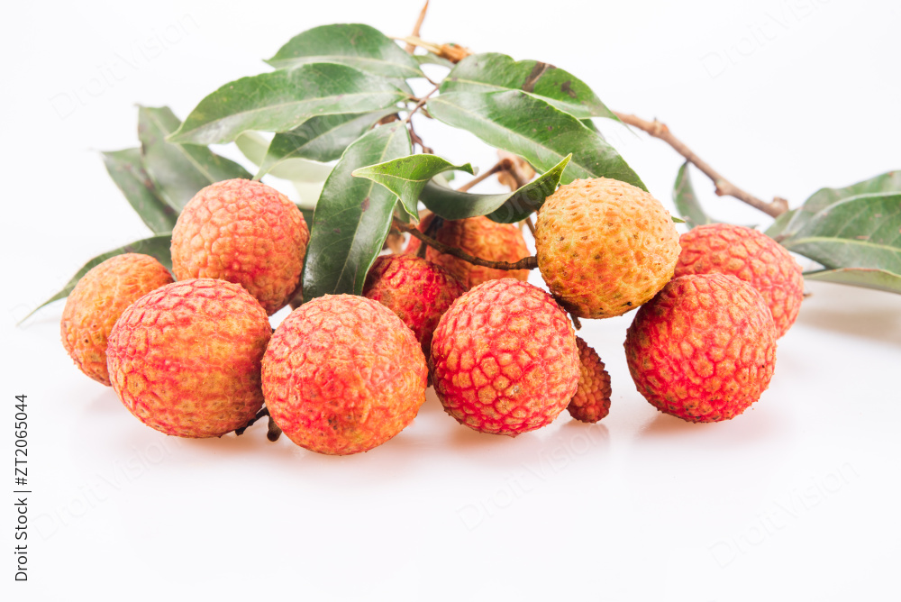 白背景的荔枝图片