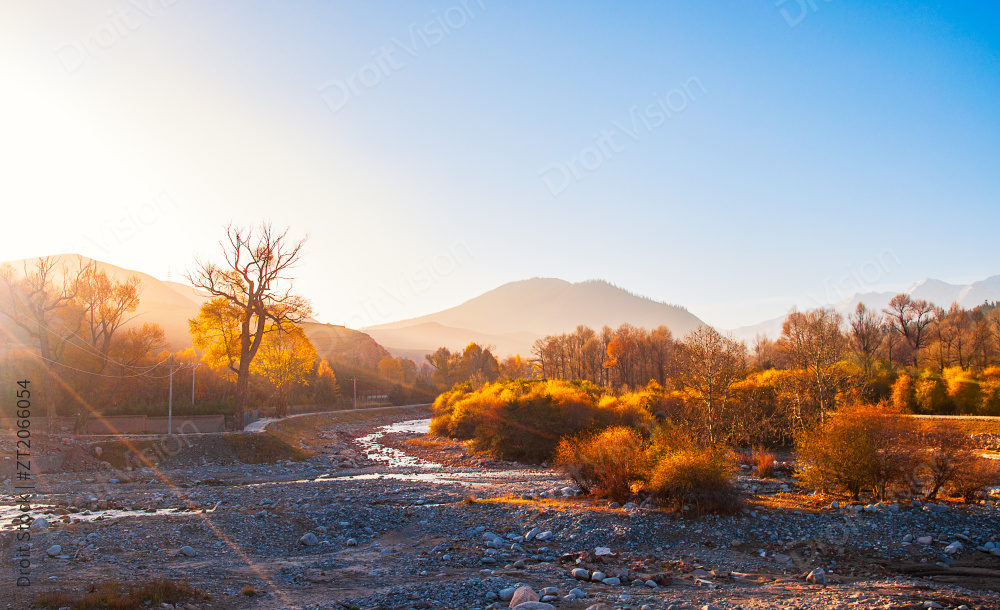 中国青海祁连县深秋夕阳西下的金色美景图片