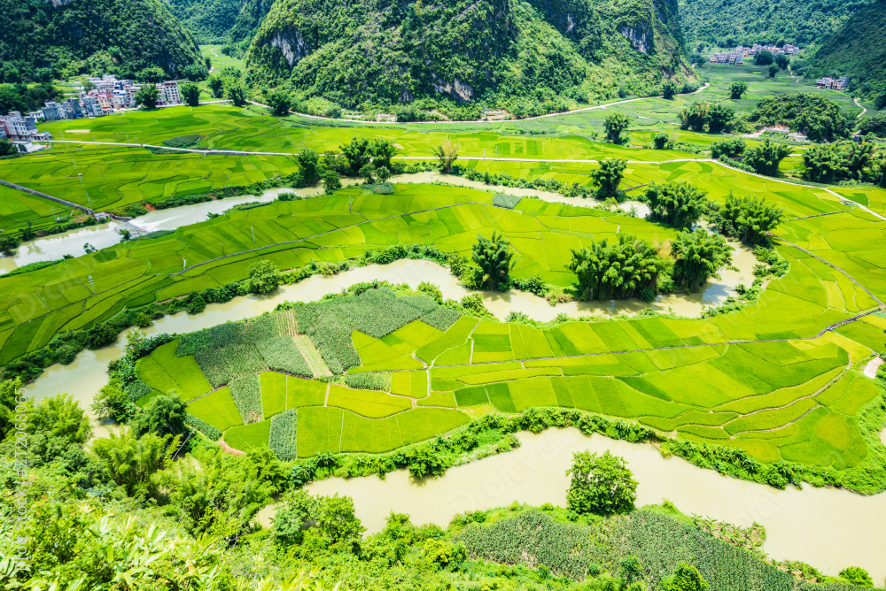 广西河池市东兰县夏日晴天的太极田景观图片
