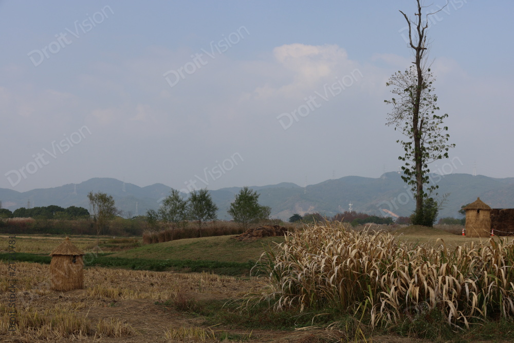 良渚古城遗址公园池中寺粮仓图片