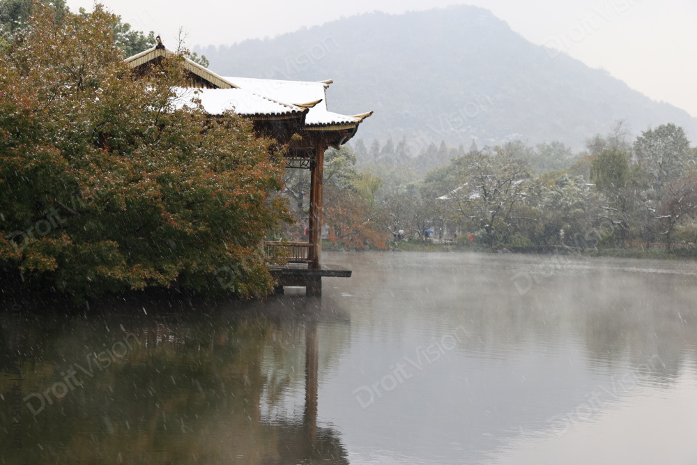 西湖花港观鱼雪中的枫树与亭子图片