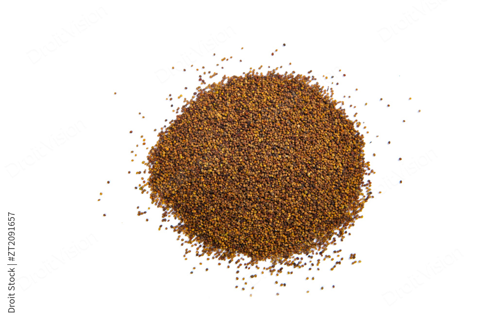 中药材菟丝子图片