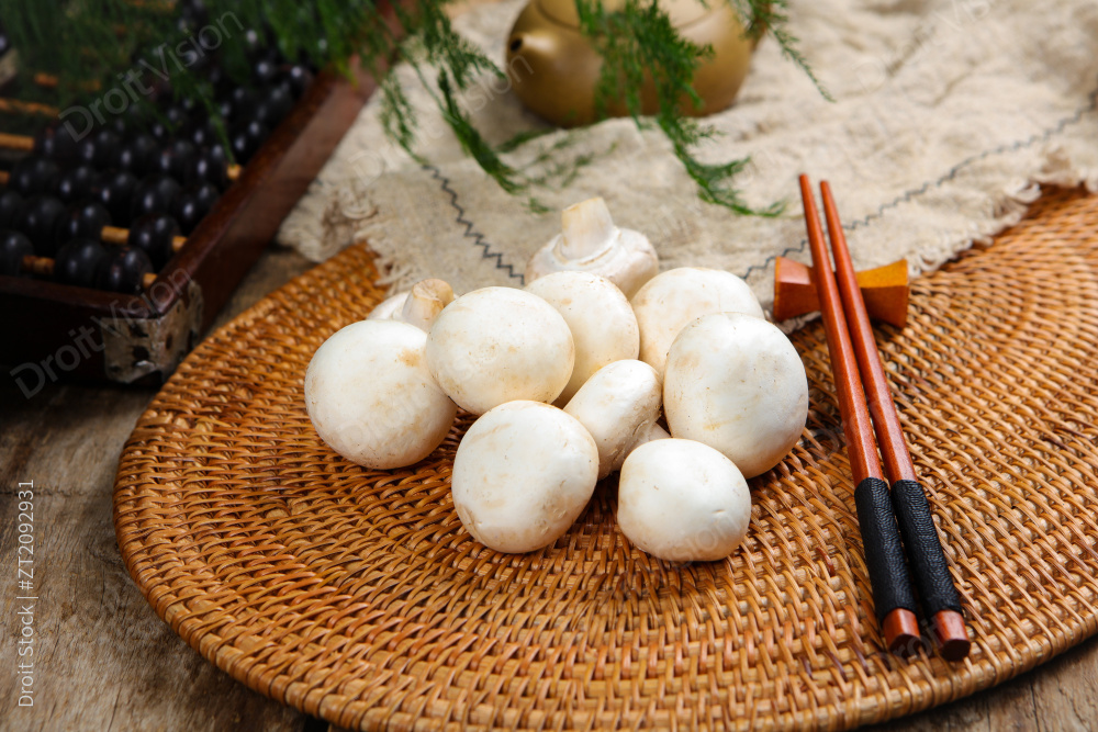 口蘑 白蘑菇图片