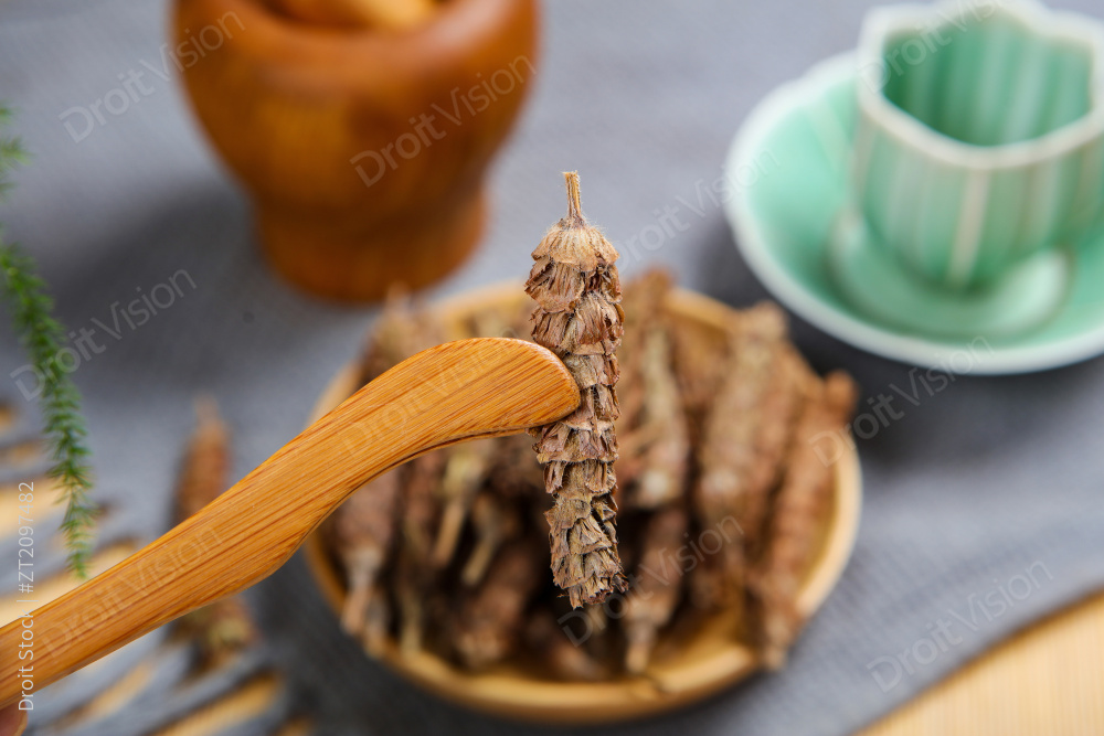 中药材夏枯草图片