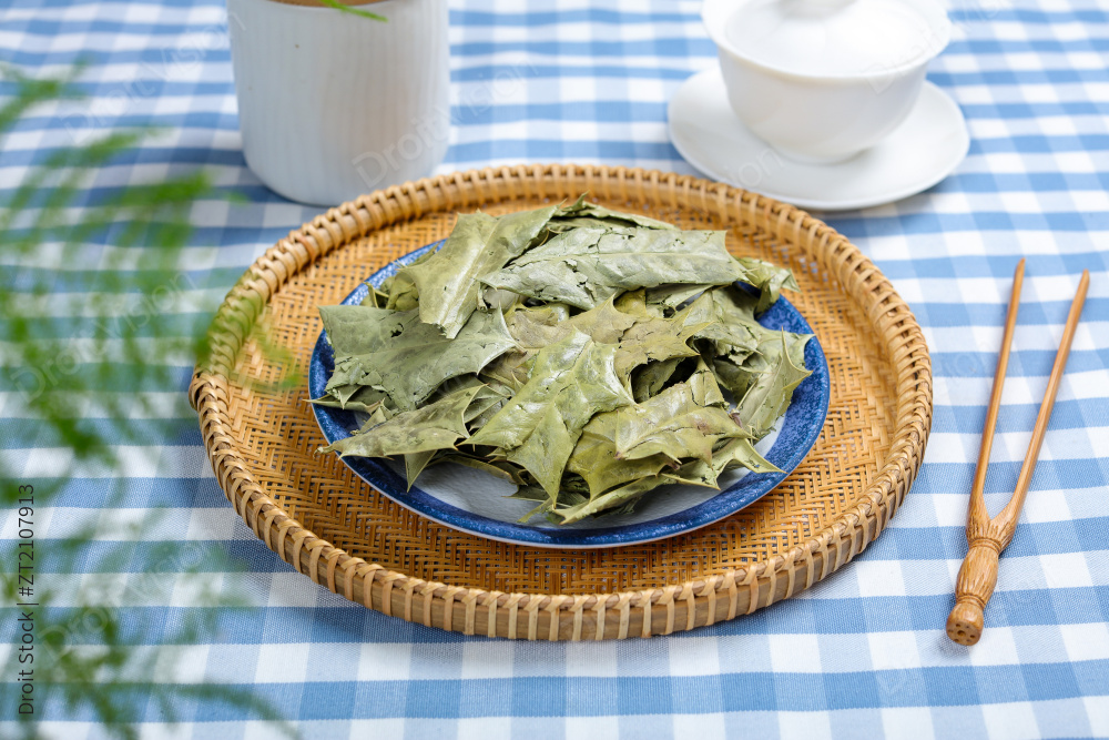 中药材功劳叶图片