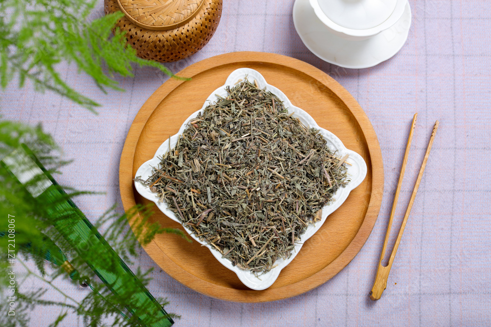 中药材透骨草图片