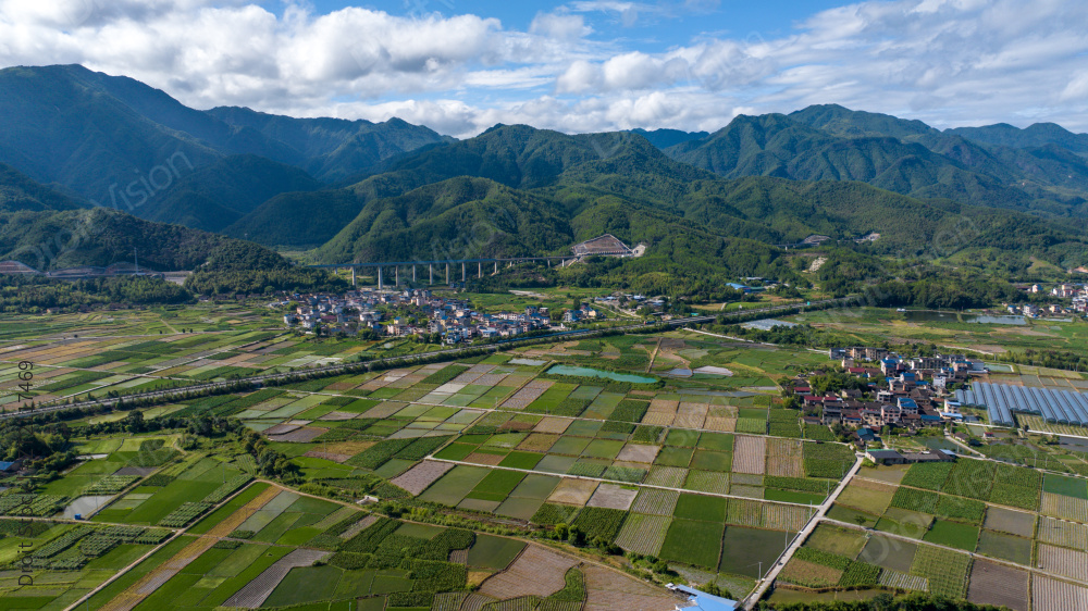 航拍乡村绿色稻田图片