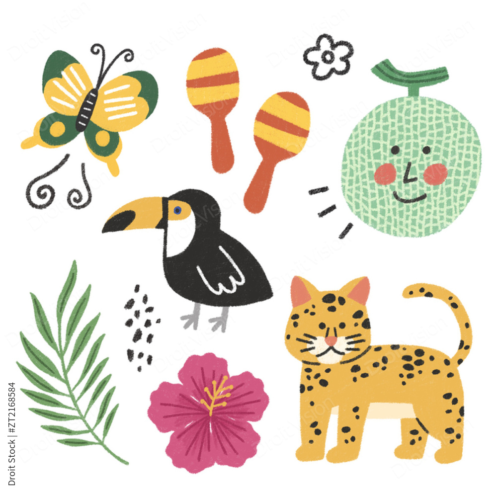 蝴蝶 玩具鸟 甜瓜 水果 花卉 动物 豹子 物体 矢量插图 图片