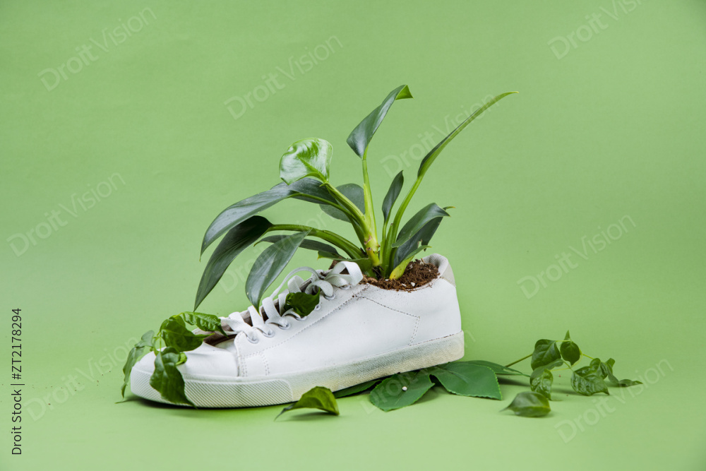 “Upcycle 017” 图片