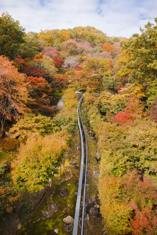 “Autumn scenery 113”常见释义为“秋景 113” 图片