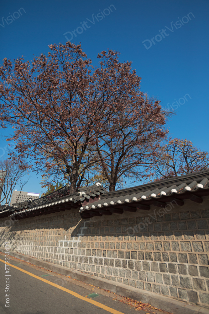 “Autumn mood 069”常见释义为“秋季心情 069” 图片