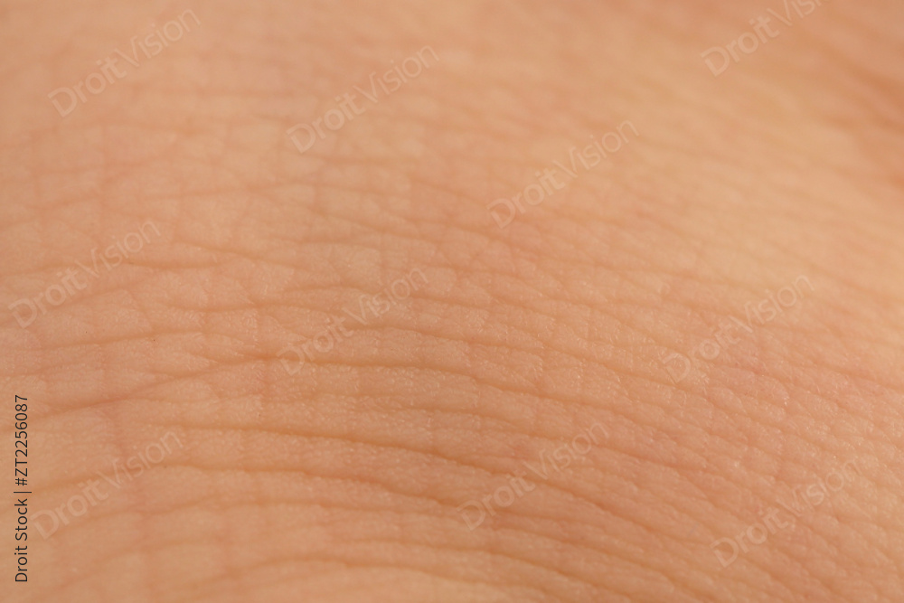 “Macro world 285”常见释义为“宏观世界 285” 图片