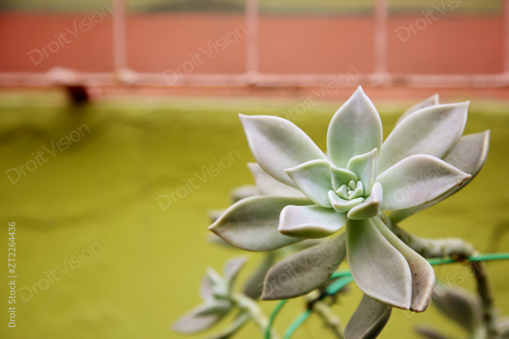 “Korean mood 072”常见释义为“韩国情绪 072” 图片