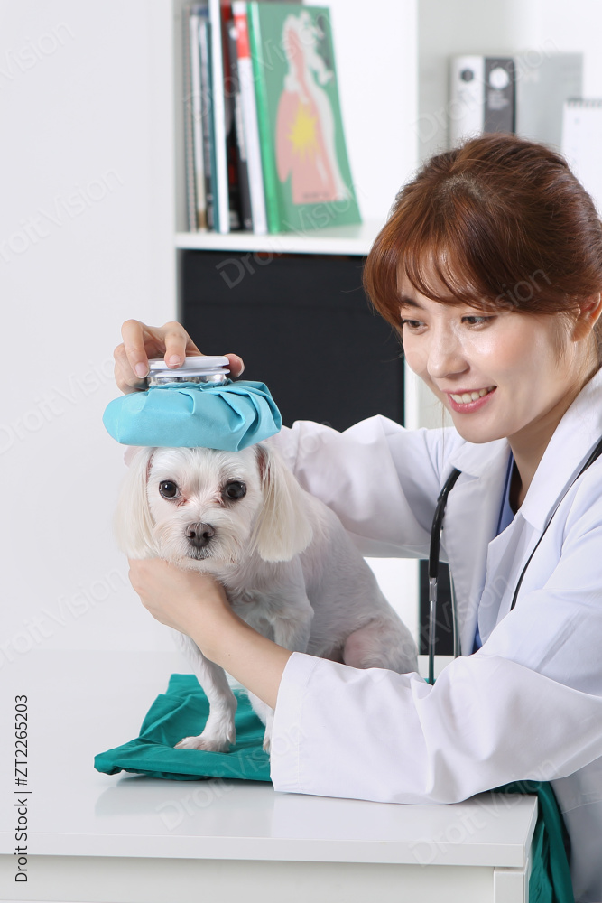 “Pet Economy 230 ”常见释义为“宠物经济 230 ” 图片