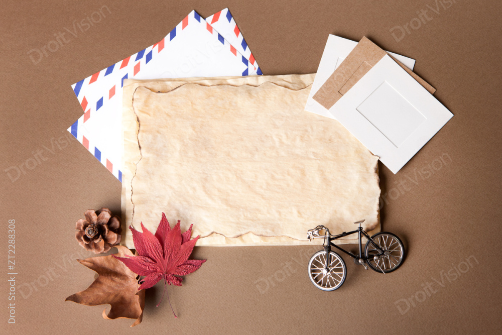 “Autumn objects 058”  图片