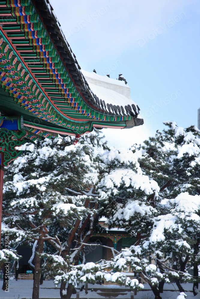 旧宫殿雪景 upho019_106 图片