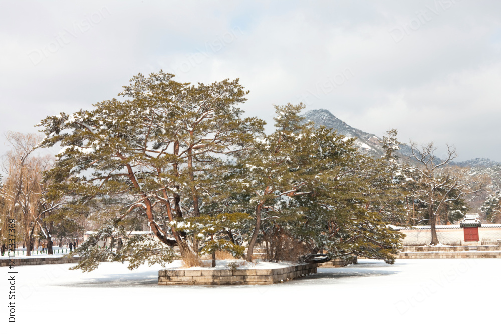 旧宫殿雪景 upho019_074 图片