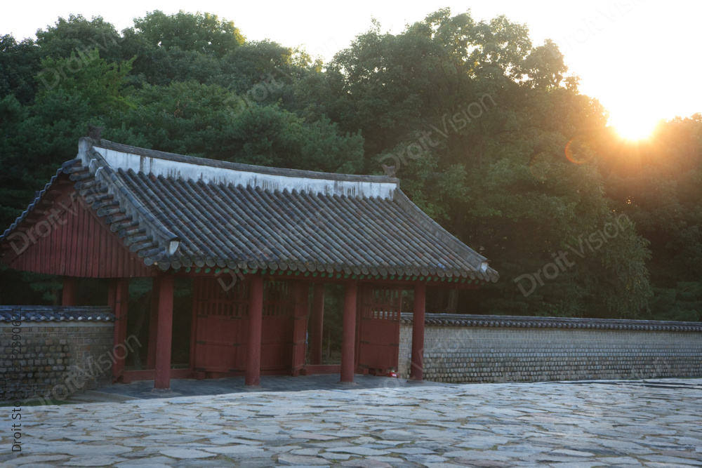 “Tradition (tradition)043 ”常见释义为“传统（传统）043 ” 图片